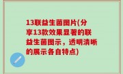 13联益生菌图片(分享13款效果显著的联益生菌图示，透明清晰的展示各自特点)