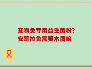宠物兔专用益生菌粉？安哥拉兔需要木屑嘛