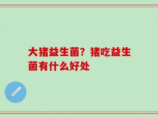 大猪益生菌？猪吃益生菌有什么好处