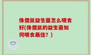 侏儒鼠益生菌怎么喂食好(侏儒鼠的益生菌如何喂食最佳？)