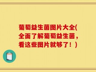 葡萄益生菌图片大全(全面了解葡萄益生菌，看这些图片就够了！)