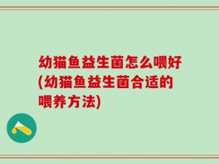 幼猫鱼益生菌怎么喂好(幼猫鱼益生菌合适的喂养方法)