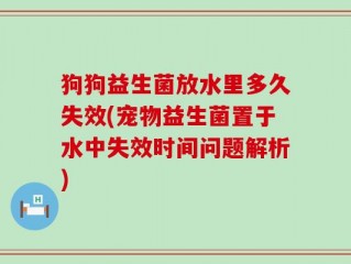 狗狗益生菌放水里多久失效(宠物益生菌置于水中失效时间问题解析)
