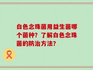 白色念珠菌用益生菌哪个菌种？了解白色念珠菌的防治方法？