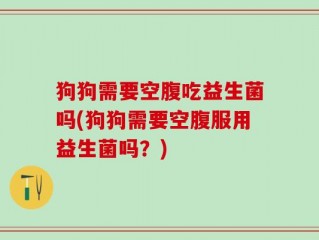 狗狗需要空腹吃益生菌吗(狗狗需要空腹服用益生菌吗？)