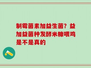 制霉菌素加益生菌？益加益菌种发酵米糠喂鸡是不是真的
