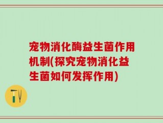 宠物消化酶益生菌作用机制(探究宠物消化益生菌如何发挥作用)