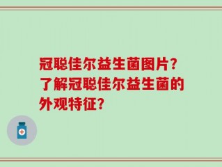 冠聪佳尔益生菌图片？了解冠聪佳尔益生菌的外观特征？