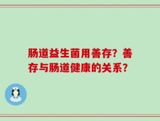 肠道益生菌用善存？善存与肠道健康的关系？