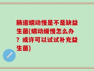 肠道蠕动慢是不是缺益生菌(蠕动缓慢怎么办？或许可以试试补充益生菌)