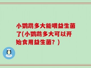 小鹦鹉多大能喂益生菌了(小鹦鹉多大可以开始食用益生菌？)