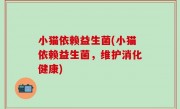小猫依赖益生菌(小猫依赖益生菌，维护消化健康)