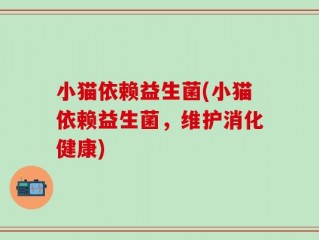 小猫依赖益生菌(小猫依赖益生菌，维护消化健康)