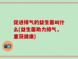 促进排气的益生菌叫什么(益生菌助力排气，重获健康)
