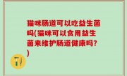 猫咪肠道可以吃益生菌吗(猫咪可以食用益生菌来维护肠道健康吗？)