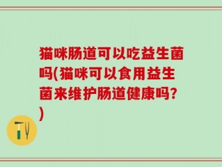 猫咪肠道可以吃益生菌吗(猫咪可以食用益生菌来维护肠道健康吗？)