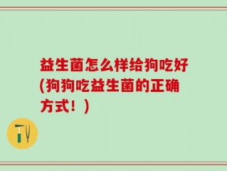 益生菌怎么样给狗吃好(狗狗吃益生菌的正确方式！)