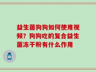 益生菌狗狗如何使用视频？狗狗吃的复合益生菌冻干粉有什么作用