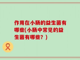 作用在小肠的益生菌有哪些(小肠中常见的益生菌有哪些？)