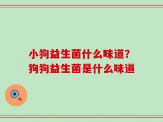 小狗益生菌什么味道？狗狗益生菌是什么味道