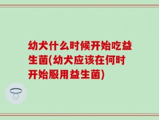 幼犬什么时候开始吃益生菌(幼犬应该在何时开始服用益生菌)