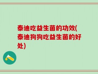 泰迪吃益生菌的功效(泰迪狗狗吃益生菌的好处)