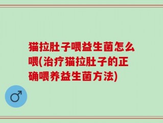 猫拉肚子喂益生菌怎么喂(治疗猫拉肚子的正确喂养益生菌方法)
