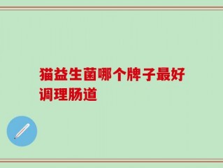 猫益生菌哪个牌子最好调理肠道