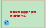 显微益生菌结构？微生物指的是什么
