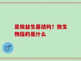 显微益生菌结构？微生物指的是什么