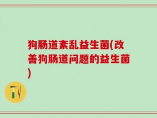狗肠道紊乱益生菌(改善狗肠道问题的益生菌)