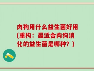 肉狗用什么益生菌好用(重构：最适合肉狗消化的益生菌是哪种？)