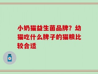 小奶猫益生菌品牌？幼猫吃什么牌子的猫粮比较合适