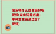 龙鱼喂什么益生菌好呢视频(龙鱼饲养必备：哪种益生菌最适合？ 视频)