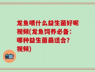 龙鱼喂什么益生菌好呢视频(龙鱼饲养必备：哪种益生菌最适合？ 视频)