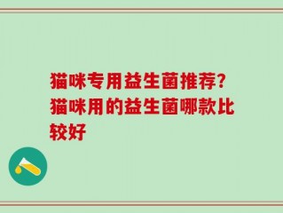 猫咪专用益生菌推荐？猫咪用的益生菌哪款比较好