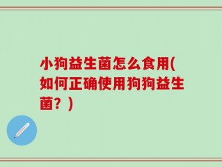 小狗益生菌怎么食用(如何正确使用狗狗益生菌？)