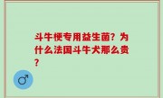 斗牛梗专用益生菌？为什么法国斗牛犬那么贵？