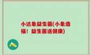 小达象益生菌(小象造福！益生菌送健康)
