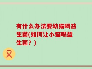 有什么办法要幼猫喝益生菌(如何让小猫喝益生菌？)