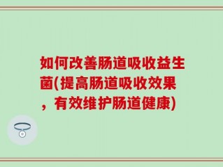 如何改善肠道吸收益生菌(提高肠道吸收效果，有效维护肠道健康)