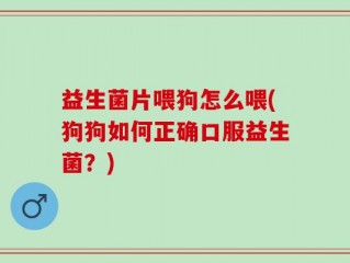 益生菌片喂狗怎么喂(狗狗如何正确口服益生菌？)