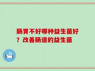 肠胃不好哪种益生菌好？改善肠道的益生菌