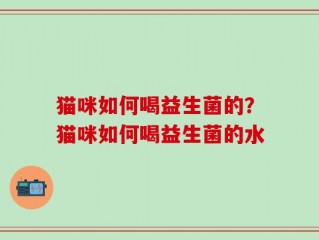 猫咪如何喝益生菌的？猫咪如何喝益生菌的水