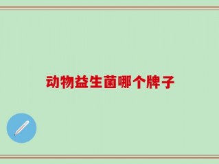 动物益生菌哪个牌子