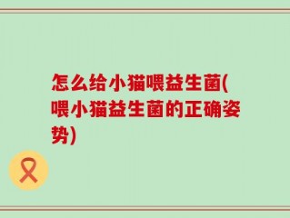 怎么给小猫喂益生菌(喂小猫益生菌的正确姿势)