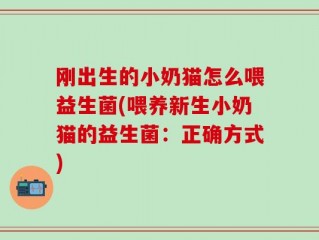 刚出生的小奶猫怎么喂益生菌(喂养新生小奶猫的益生菌：正确方式)