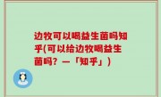 边牧可以喝益生菌吗知乎(可以给边牧喝益生菌吗？—「知乎」)