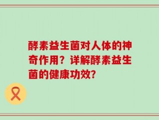 酵素益生菌对人体的神奇作用？详解酵素益生菌的健康功效？