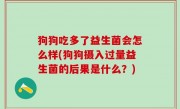 狗狗吃多了益生菌会怎么样(狗狗摄入过量益生菌的后果是什么？)